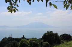 中茶屋公園からの桜島②