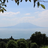 中茶屋公園からの桜島②