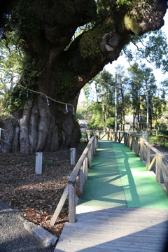 山宮神社⑧