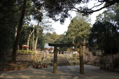 熊野神社⑦