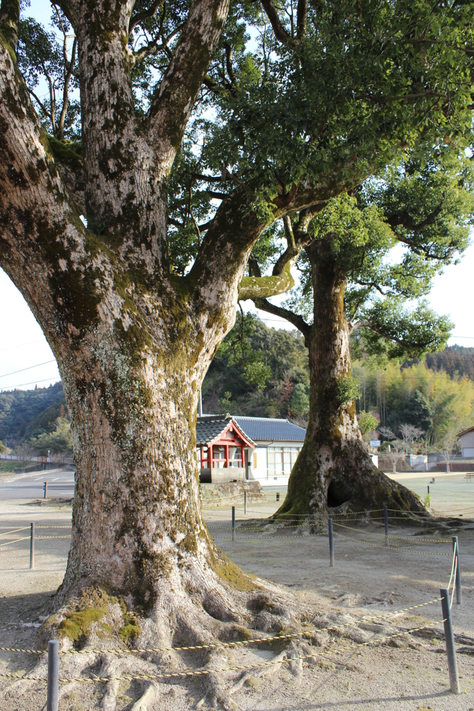 軍神社③