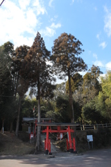 熊野神社①