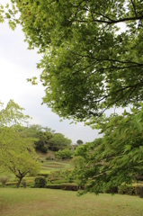 緑の濃淡だけのスケッチ①