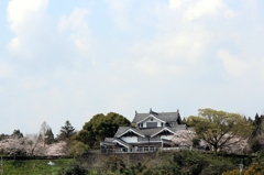 桜と都の城その２