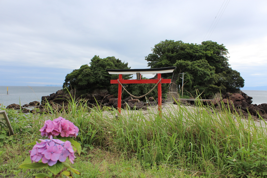 紫陽花と鳥居その２