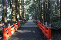狭野神社その６