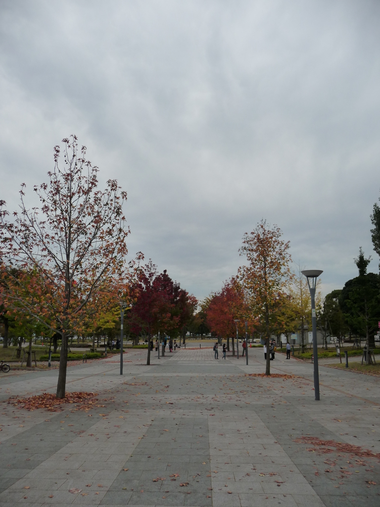 お台場で見つけた紅葉②