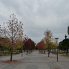 お台場で見つけた紅葉②