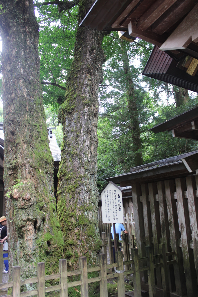 天岩戸神社⑧