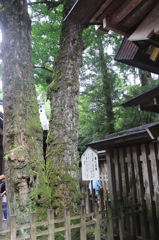 天岩戸神社⑧