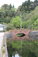水面反射その３
