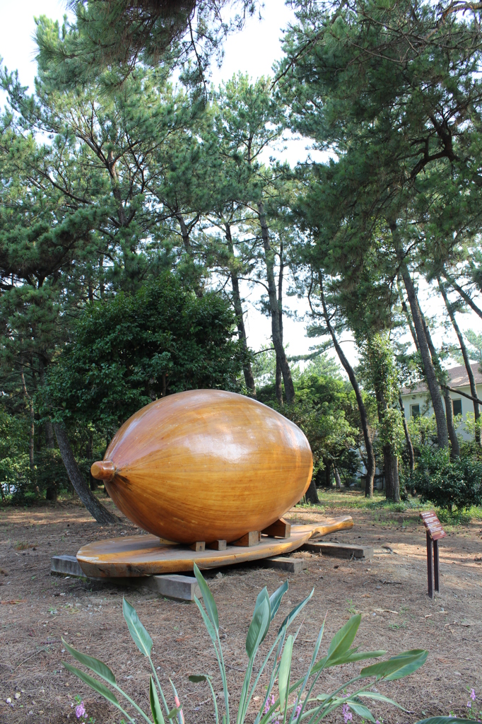 おっぱいどんぐり