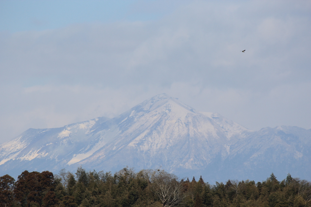 冠雪霧島