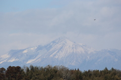 冠雪霧島