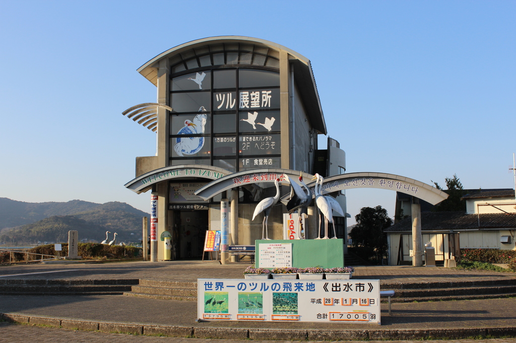 ツル展望所