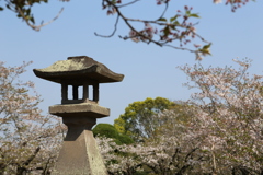 近場の公園でパチリ②