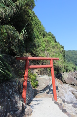 若尊（わかみこ）神社①