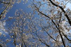 くまそ広場にて⑩