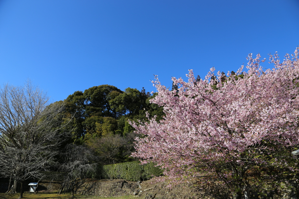 飫肥城②