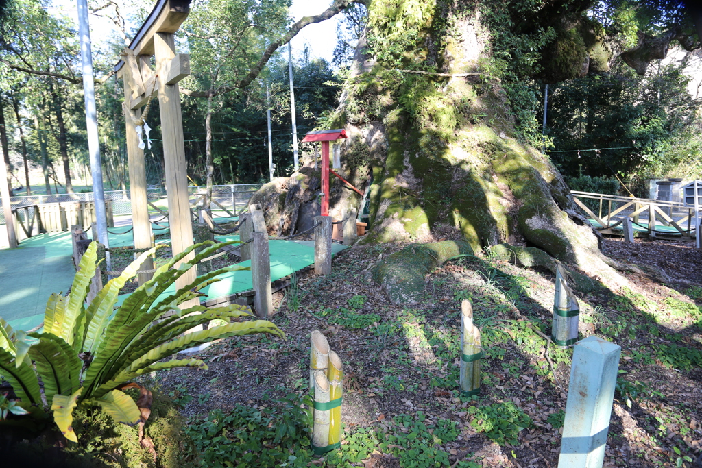 山宮神社⑤