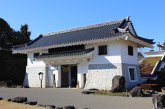 天ケ城公園その７