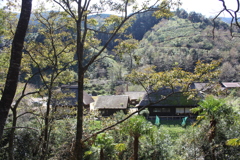 おがわ作小屋村⑤