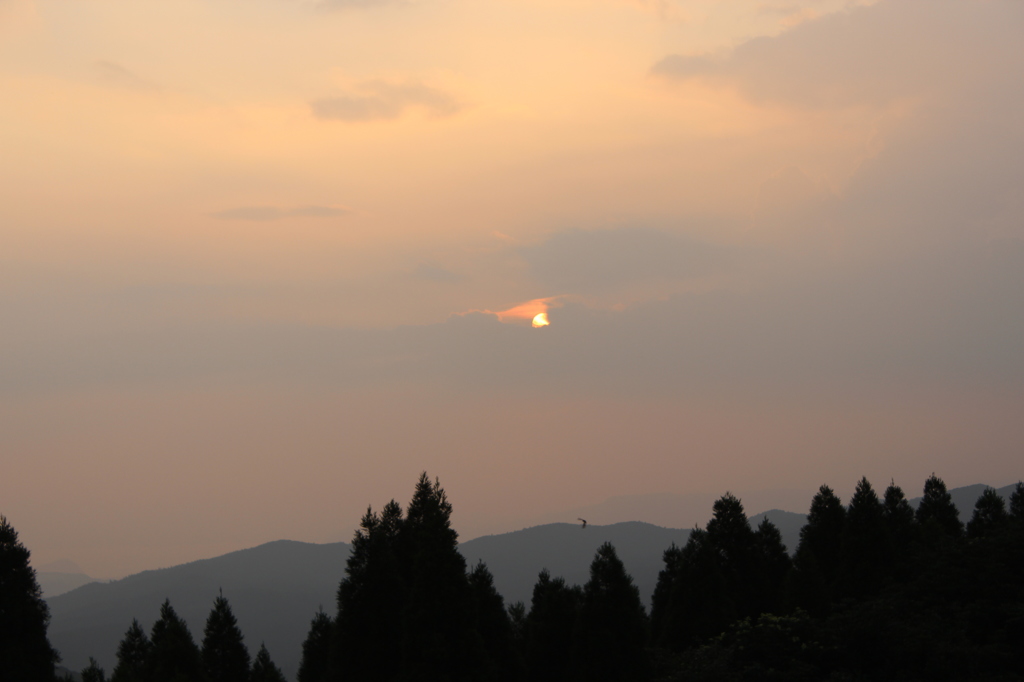 夕暮れ時は寂しそう②