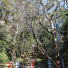 新田神社お参り紀行⑤