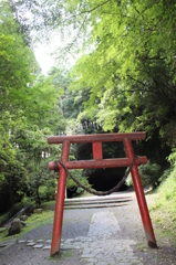 緑求めて・・・その１