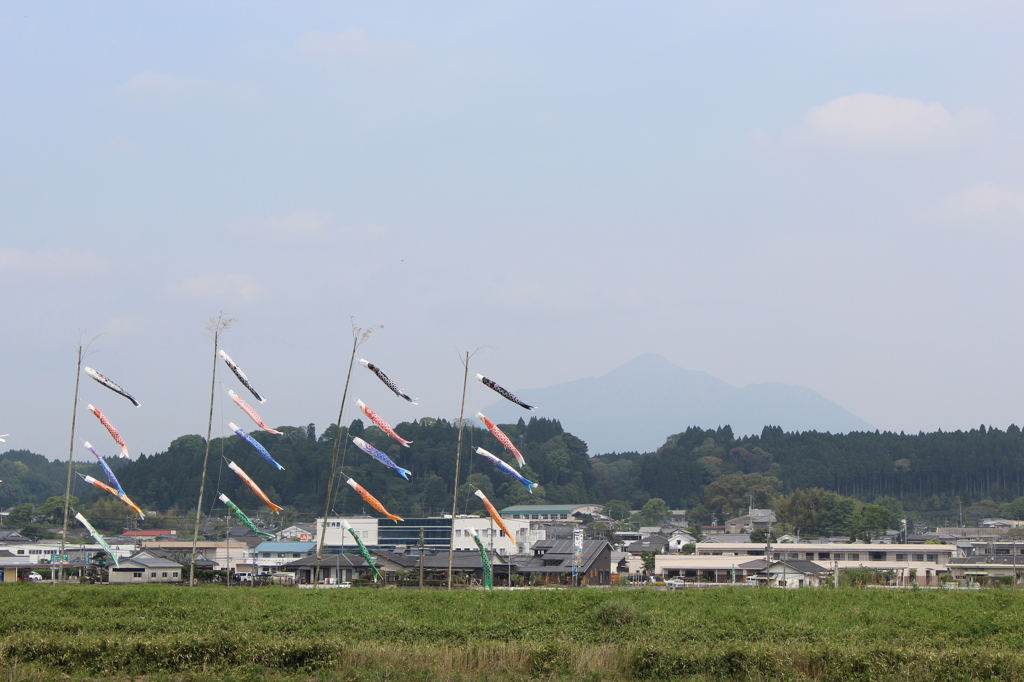 庄内川★鯉のぼり③