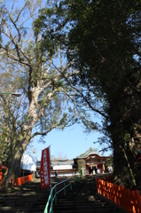 新田神社お参り紀行⑦