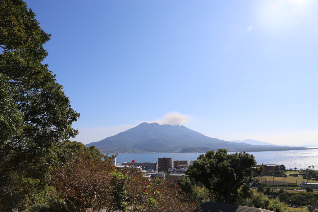 桜島③