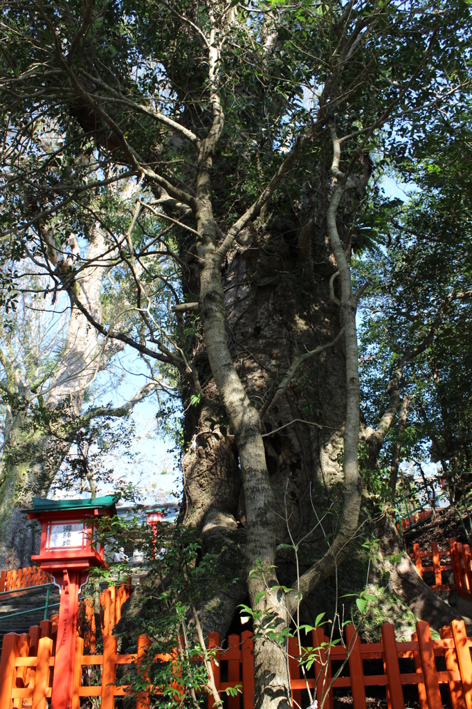 新田神社お参り紀行⑥
