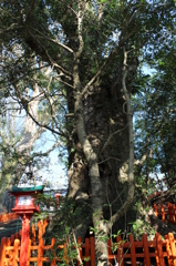 新田神社お参り紀行⑥