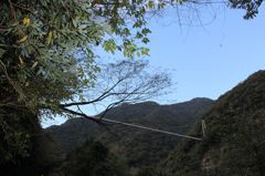 揺れる吊り橋⑧