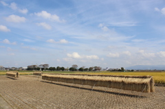 秋空と掛け干し