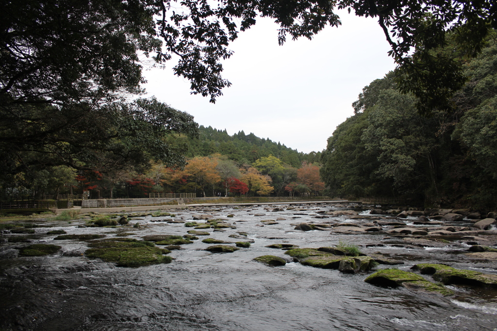 関之尾の甌穴群と紅葉