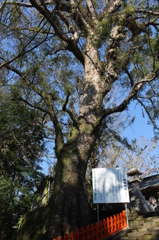 新田神社お参り紀行⑧