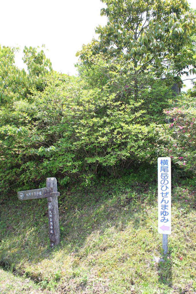 横尾岳公園その３