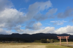 赤い鳥居②