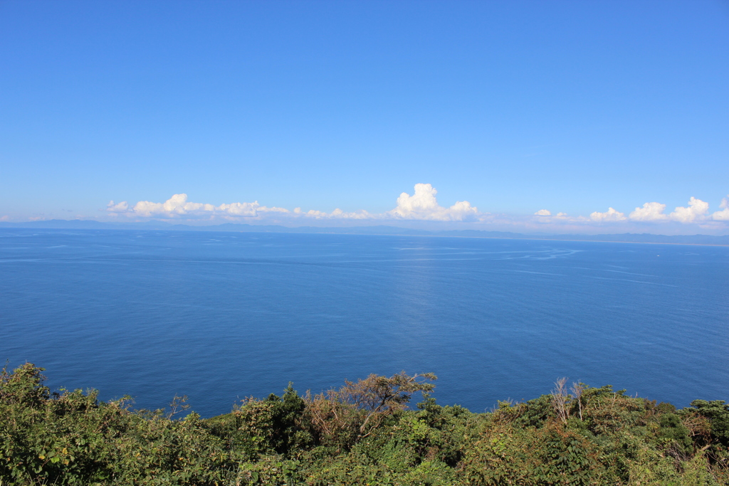 高崎山展望所より②