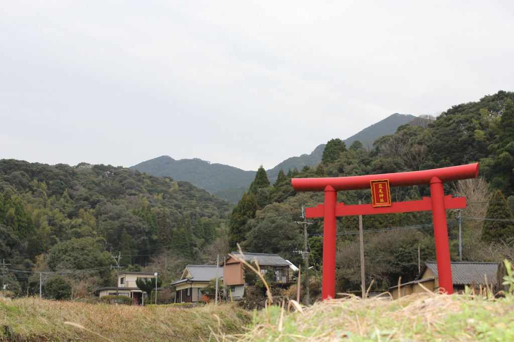 真っ赤な鳥居②