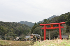 真っ赤な鳥居②