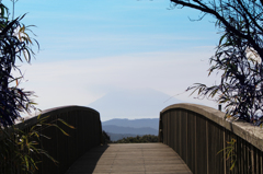 桜島橋