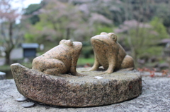 ハッケヨイ、ノコッタ