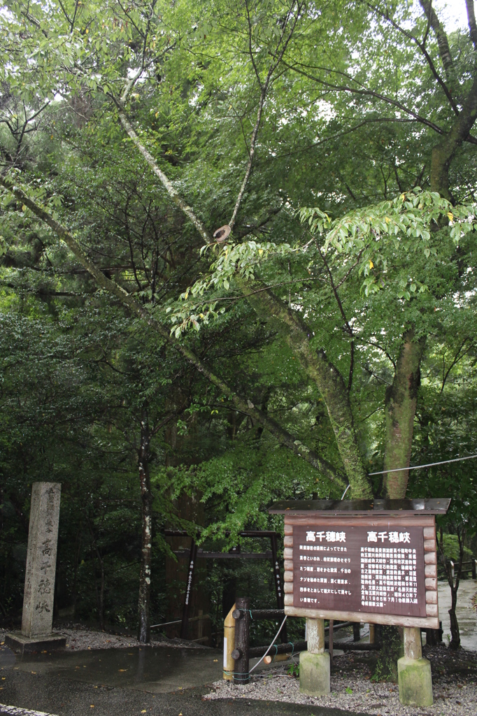 高千穂峡その３