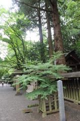 天岩戸神社③