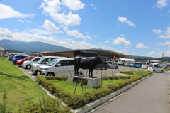 宮崎牛と夏空その１