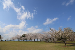 くまそ広場にて④