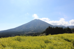 夷守岳～生駒高原にて～その４